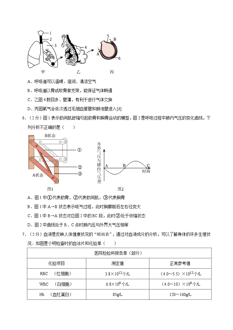 2023-2024学年山东省济南市高新区七年级（下）期末生物试卷02