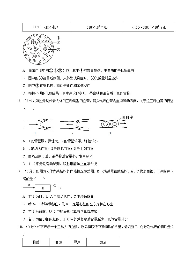 2023-2024学年山东省济南市高新区七年级（下）期末生物试卷03