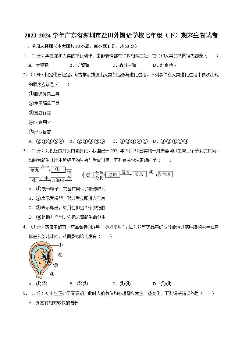 2023-2024学年广东省深圳市盐田外国语学校七年级（下）期末生物试卷01