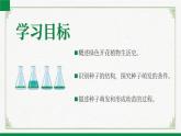 3.5.1种子萌发形成幼苗（课件+教案）北师大版 七上