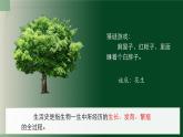 3.5.1种子萌发形成幼苗（课件+教案）北师大版 七上