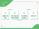3.5.1种子萌发形成幼苗（课件+教案）北师大版 七上