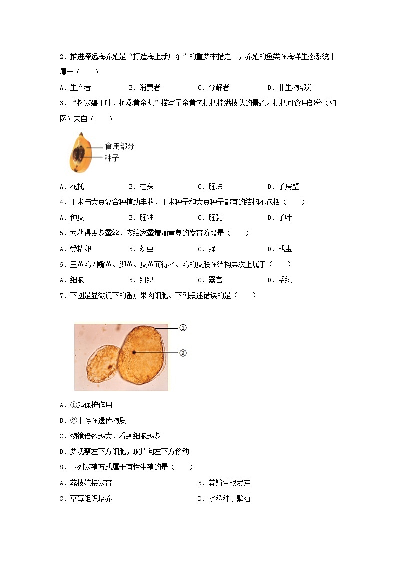 2024年广东中考真题生物试题及答案第2页