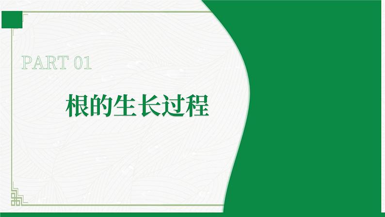 3.5.2营养器官的生长（课件+教案）北师大版 七上05