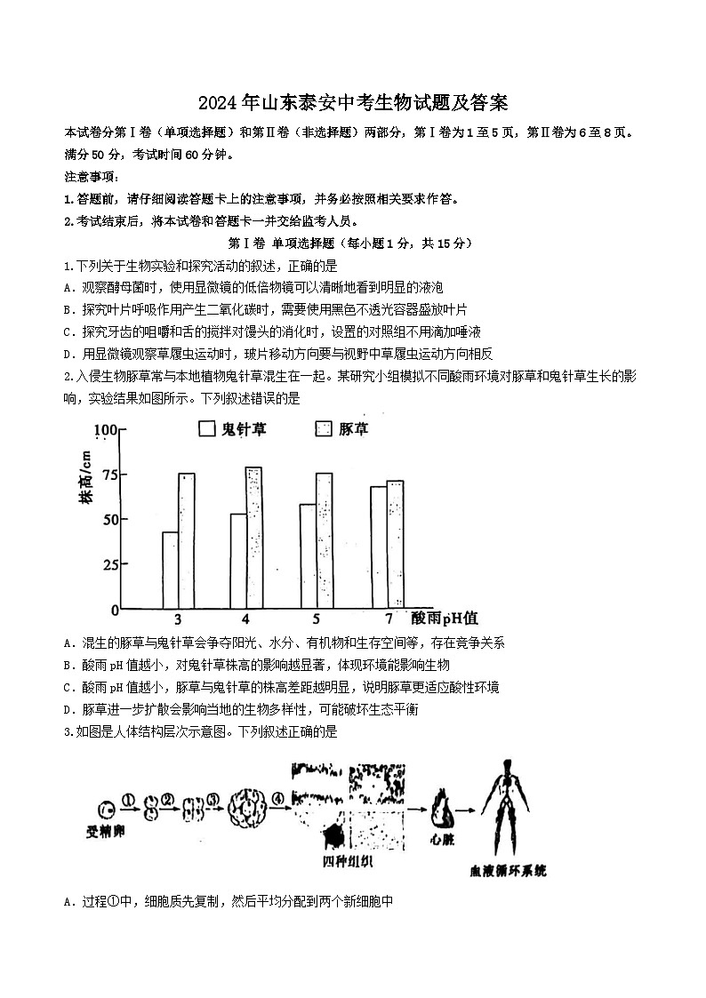 2024年山东泰安中考生物试题及答案01
