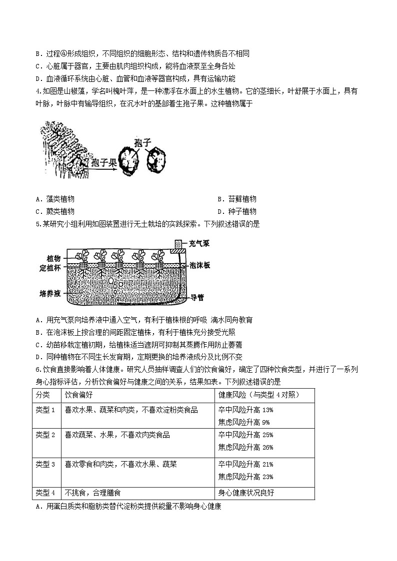 2024年山东泰安中考生物试题及答案02