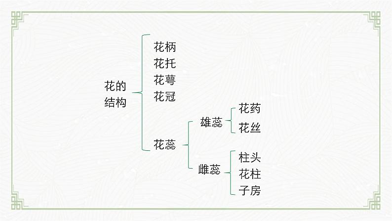 3.5.3生殖器官的生长（课件+教案）北师大版 七上08