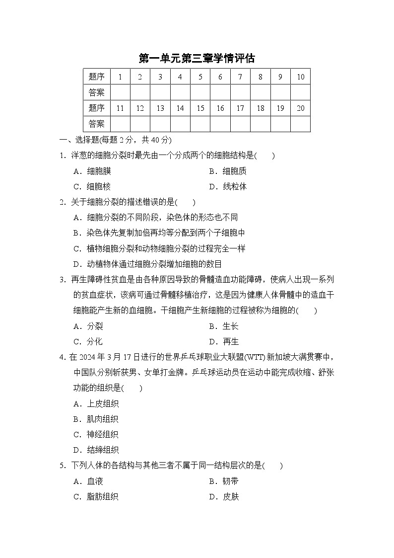 2024--2025学年人教版生物七年级上册 第1单元第3章学情评估（含答案）01