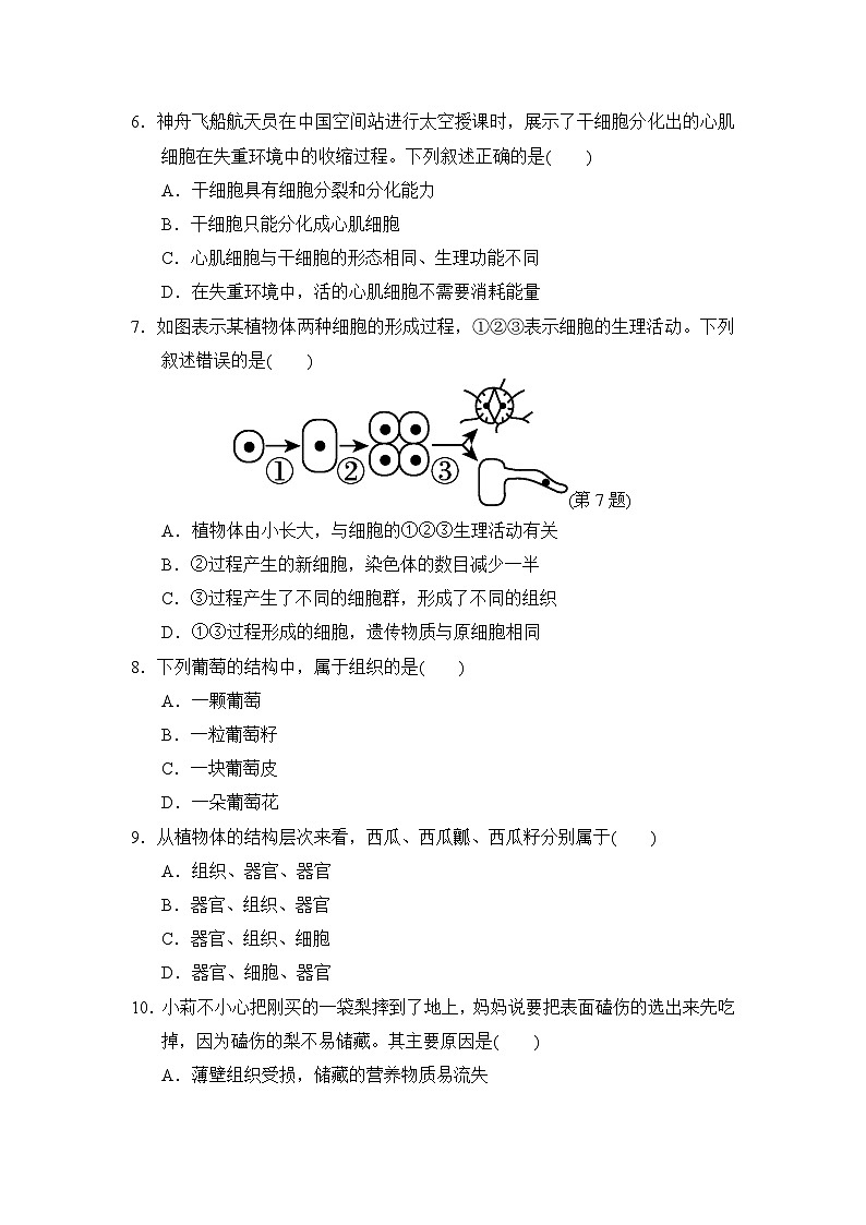 2024--2025学年人教版生物七年级上册 第1单元第3章学情评估（含答案）02