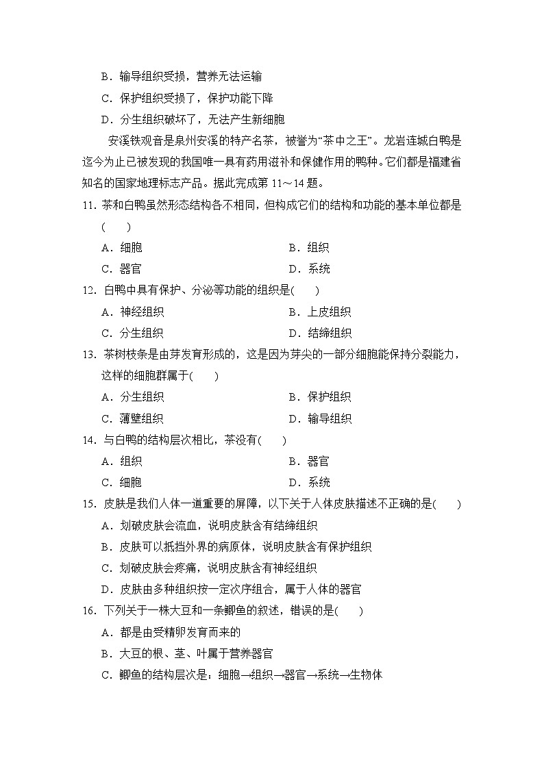 2024--2025学年人教版生物七年级上册 第1单元第3章学情评估（含答案）03