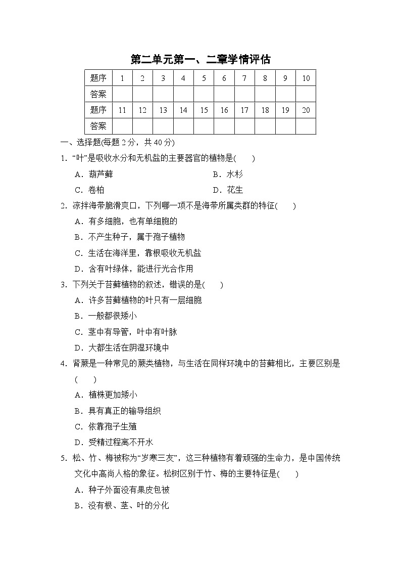 2024--2025学年人教版生物七年级上册 第2单元第一、二章学情评估（含答案）01