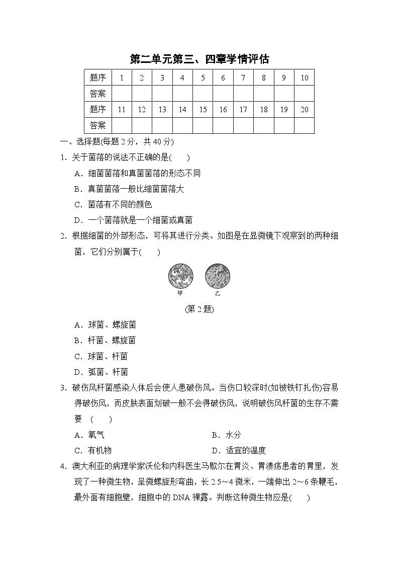 2024--2025学年人教版生物七年级上册 第2单元第三、四章学情评估（含答案）第1页