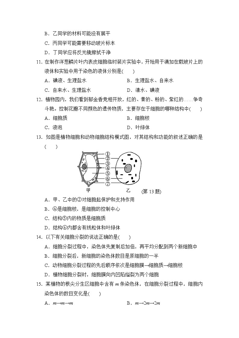 2024--2025学年人教版生物七年级上册 第一学期期中学情评估（含答案）03