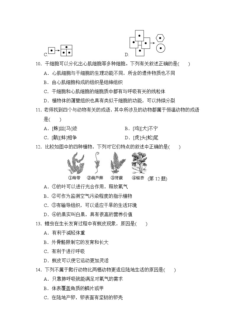 2024--2025学年人教版生物七年级上册 第一学期期末学情评估（含答案）03