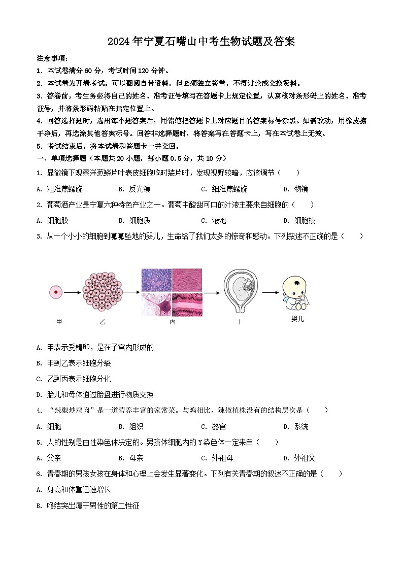 2024年宁夏石嘴山中考真题生物试题及答案01