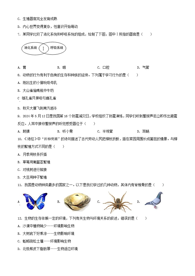 2024年宁夏石嘴山中考真题生物试题及答案02