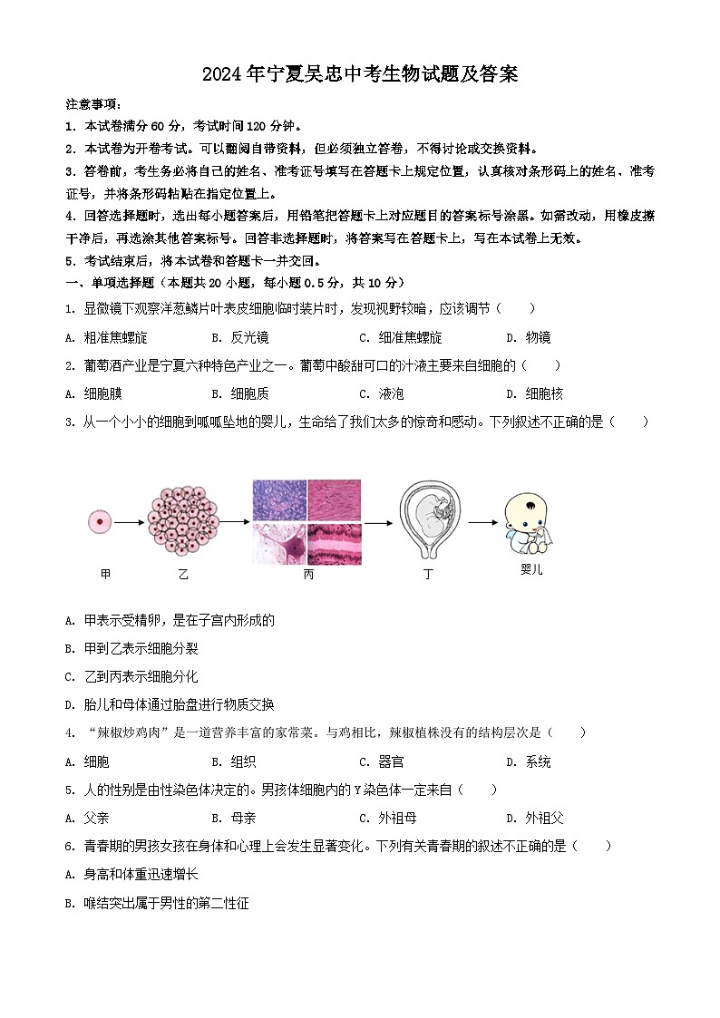 2024年宁夏吴忠中考真题生物试题及答案01