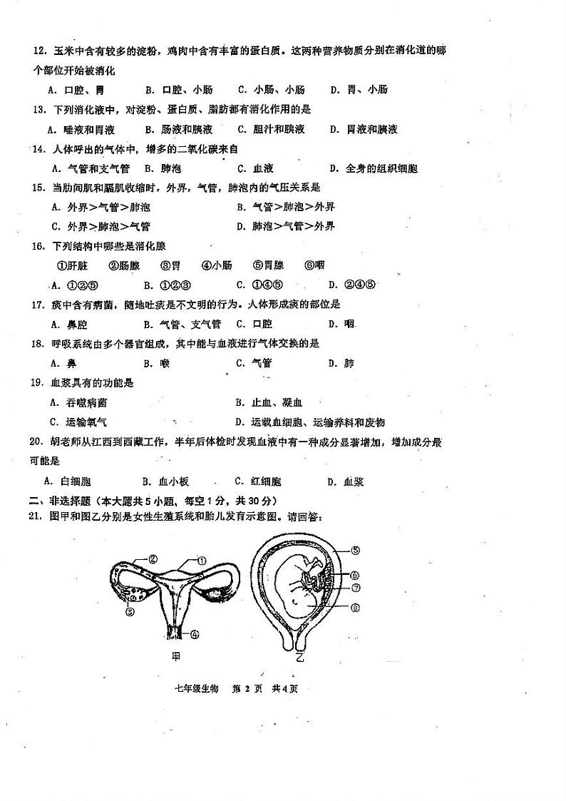 江西省景德镇市浮梁县2023-2024学年七年级下学期期中考试生物试题第2页