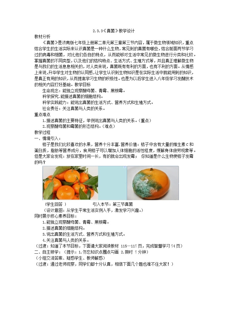 2.3.3真菌教学设计2023--2024学年济南版七年级生物上册01