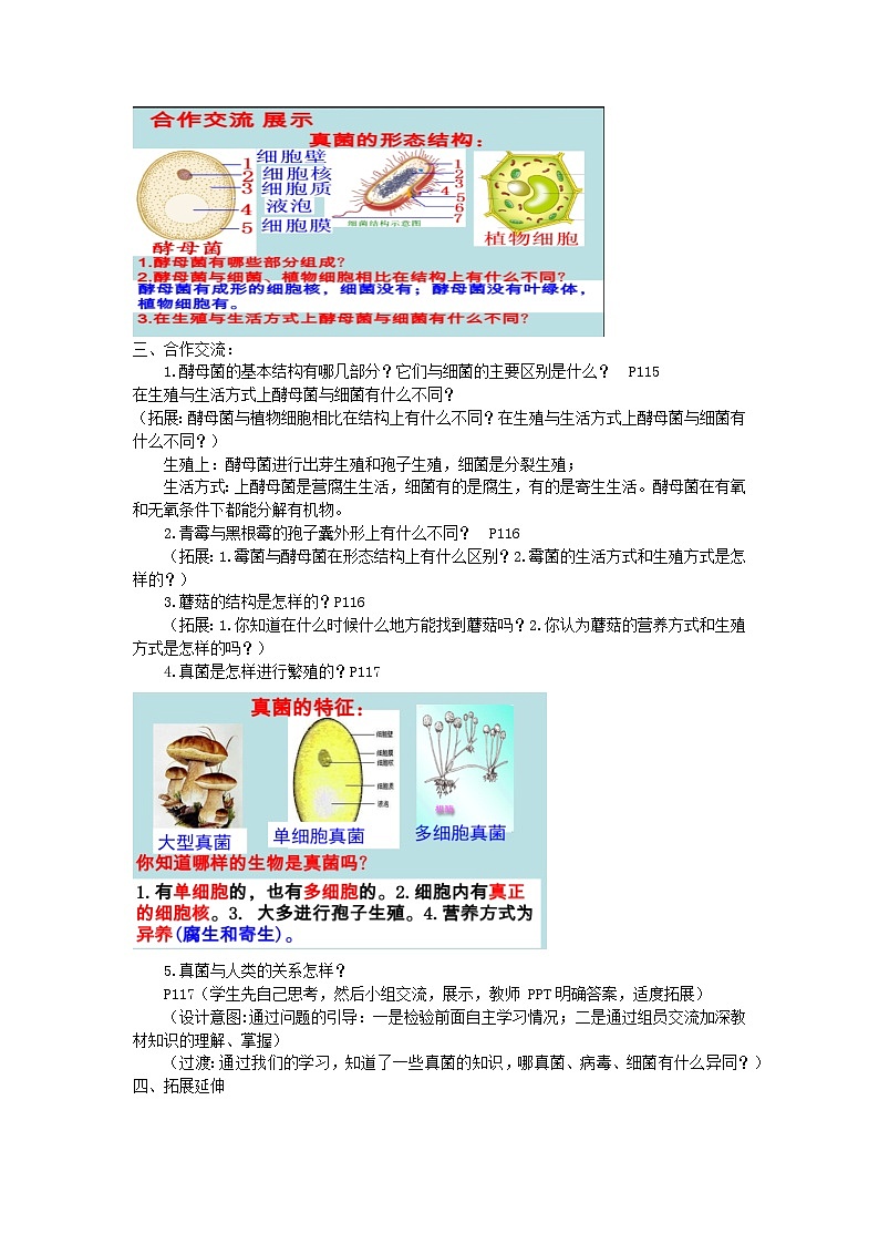 2.3.3真菌教学设计2023--2024学年济南版七年级生物上册02