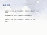 1.1.1  生物的特征  课件-人教版初中生物学七年级上册