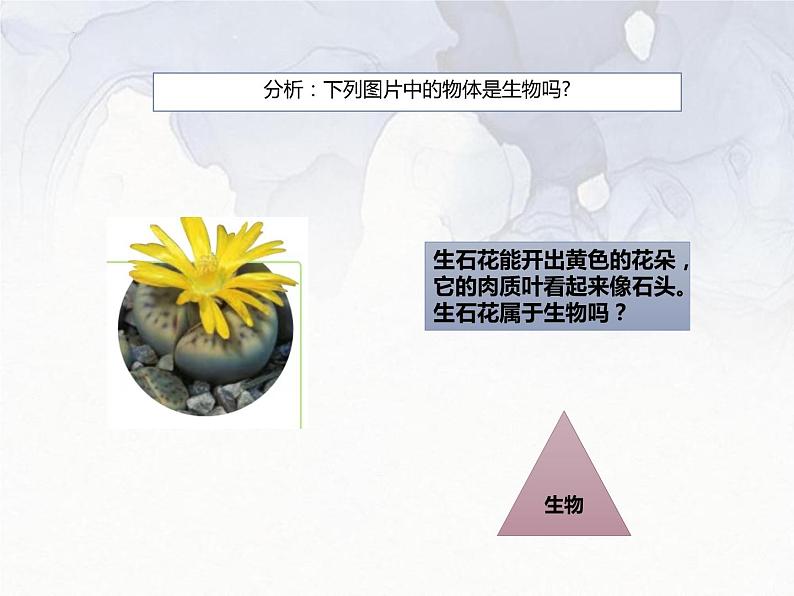 1.1.1  生物的特征  课件-人教版初中生物学七年级上册第4页