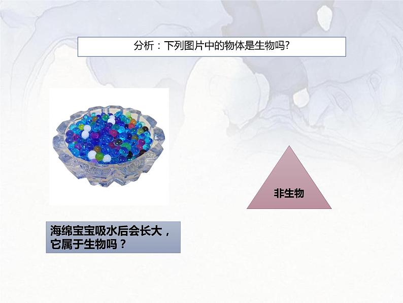 1.1.1  生物的特征  课件-人教版初中生物学七年级上册第6页