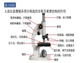 1.1.4  生物学的研究工具(第二课时)  课件-2023-2024学年济南版生物七年级上册