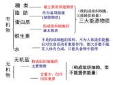 3.1.2消化和吸收课件-2023-2024学年济南版生物七年级下册