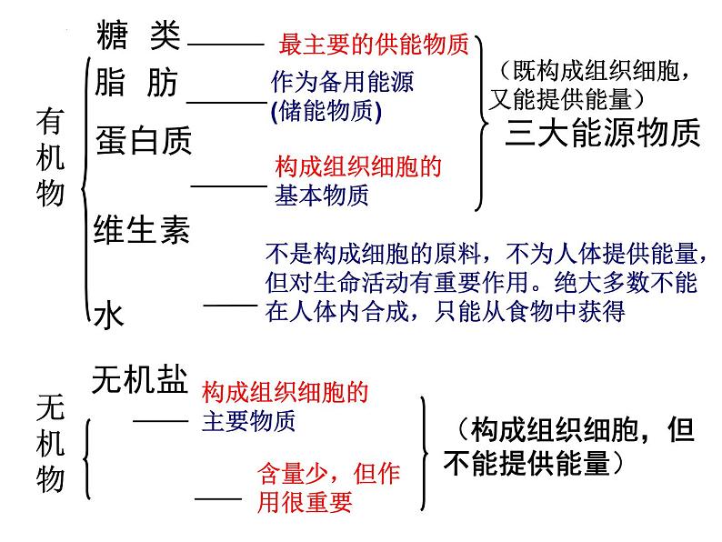 3.1.2消化和吸收课件-2023-2024学年济南版生物七年级下册第2页