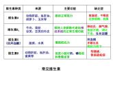 3.1.2消化和吸收课件-2023-2024学年济南版生物七年级下册