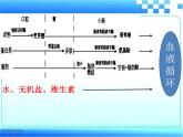 3.1.3合理膳食与食品安全课件-2023-2024学年济南版生物七年级下册