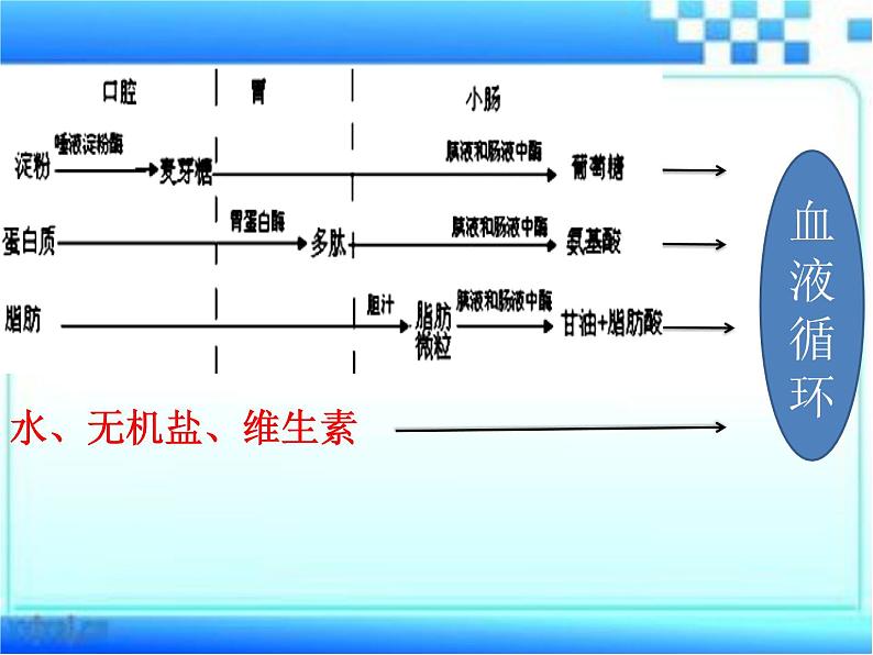 3.1.3合理膳食与食品安全课件-2023-2024学年济南版生物七年级下册第2页