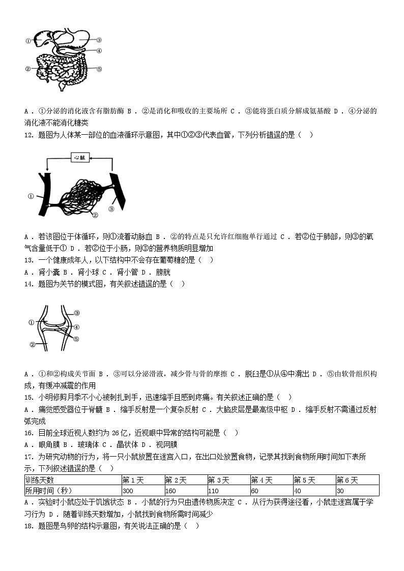 [生物][一模]广东省清远市清新区2024年中考一模生物试题02