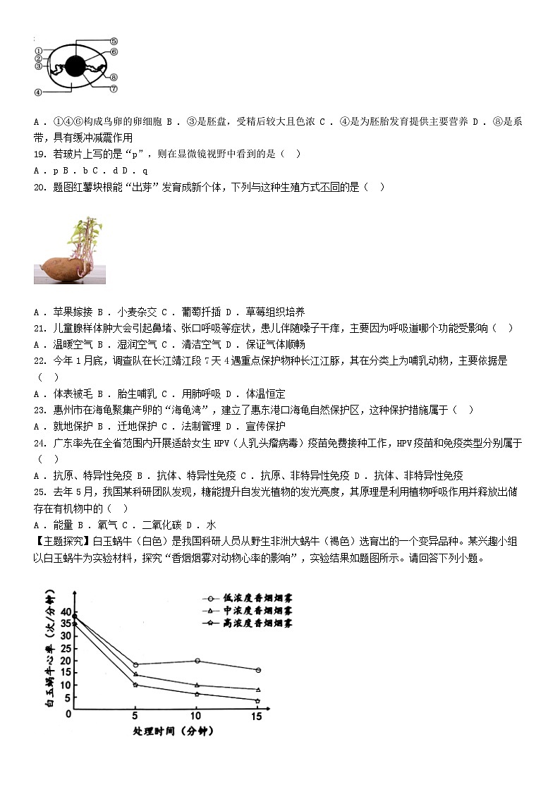 [生物][一模]广东省清远市清新区2024年中考一模生物试题03
