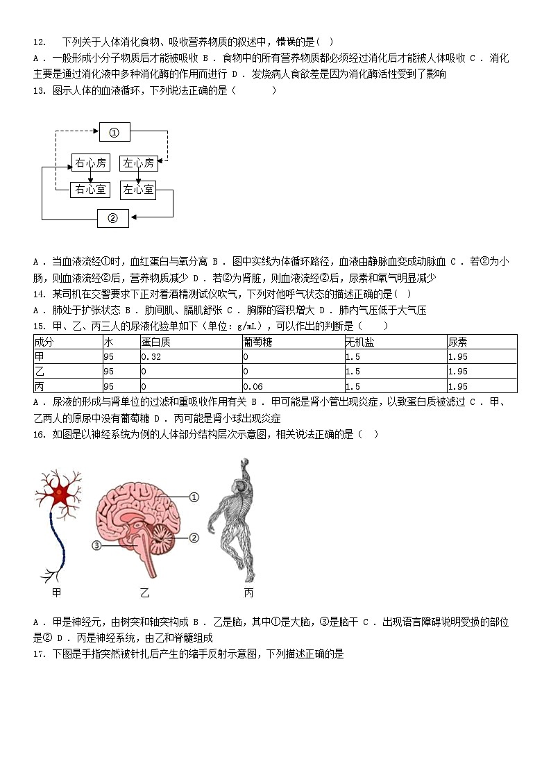 [生物]2024年广东省揭阳市榕城区初中学业水平考试第二次模拟考试生物试题03