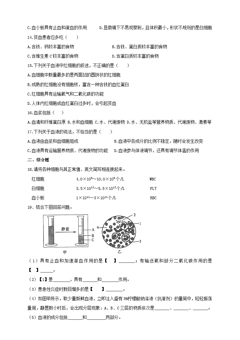 冀教版生物七下2.2.1物质运输的载体（1）练习02