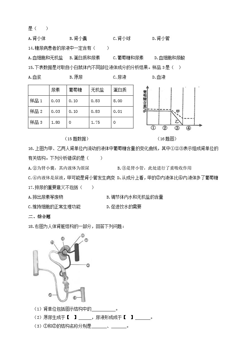 冀教版生物七下2.3.2排泄（2）练习02