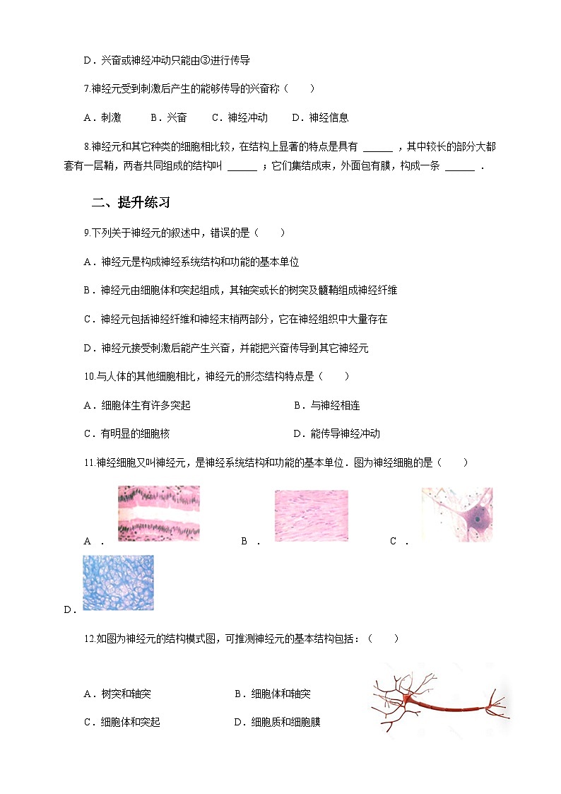 冀教版七年生物下册第4章第2节信息的传递（习题）02