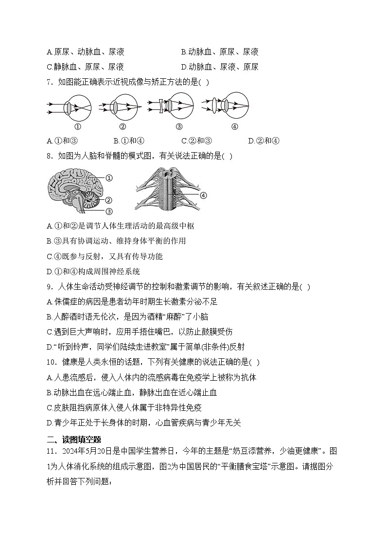安徽省宿州市灵璧县2023-2024学年七年级下学期期末考试生物试卷(含答案)第2页