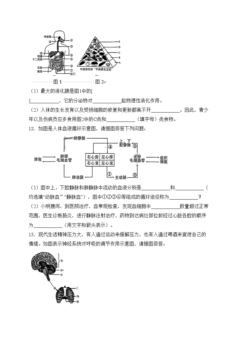 安徽省宿州市灵璧县2023-2024学年七年级下学期期末考试生物试卷(含答案)第3页