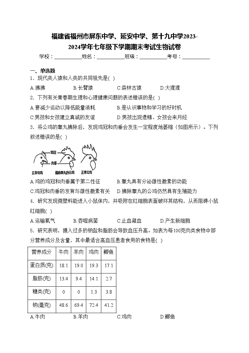 福建省福州市屏东中学、延安中学、第十九中学2023-2024学年七年级下学期期末考试生物试卷(含答案)第1页