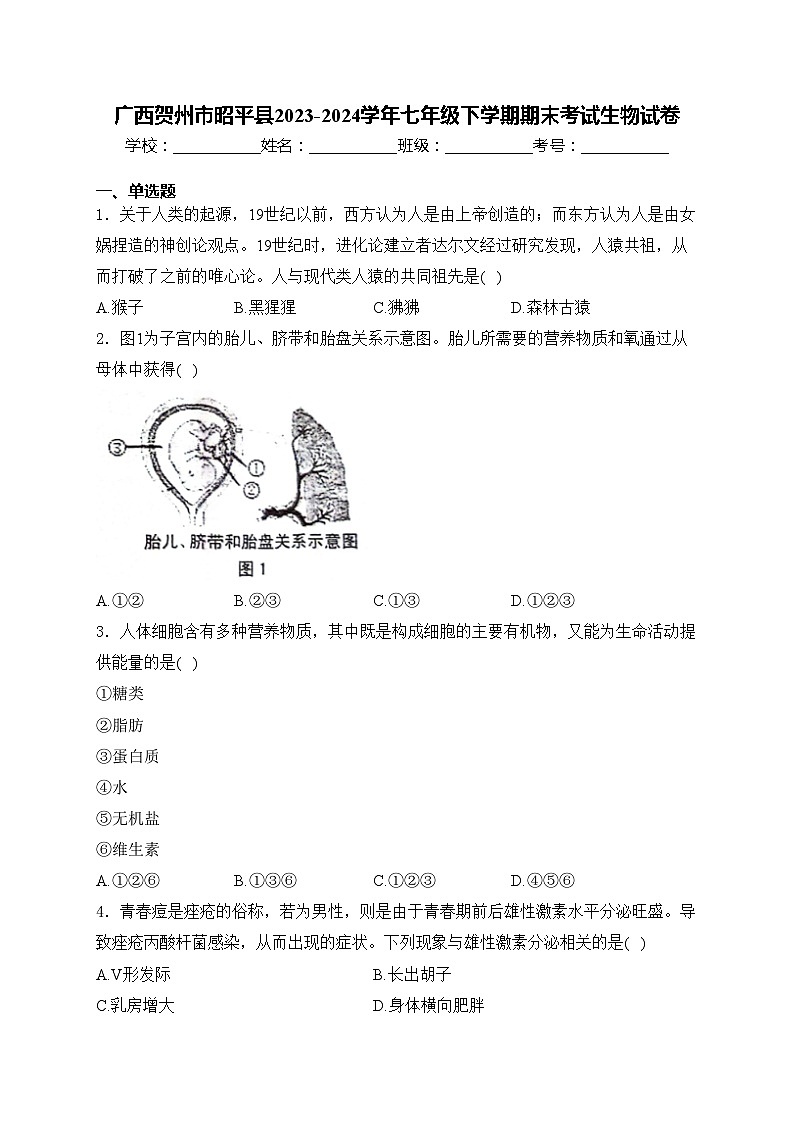 广西贺州市昭平县2023-2024学年七年级下学期期末考试生物试卷(含答案)01