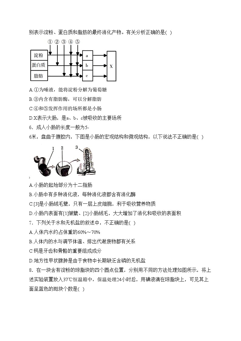 广西壮族自治区贺州市八步区2023-2024学年七年级下学期期末考试生物试卷(含答案)02