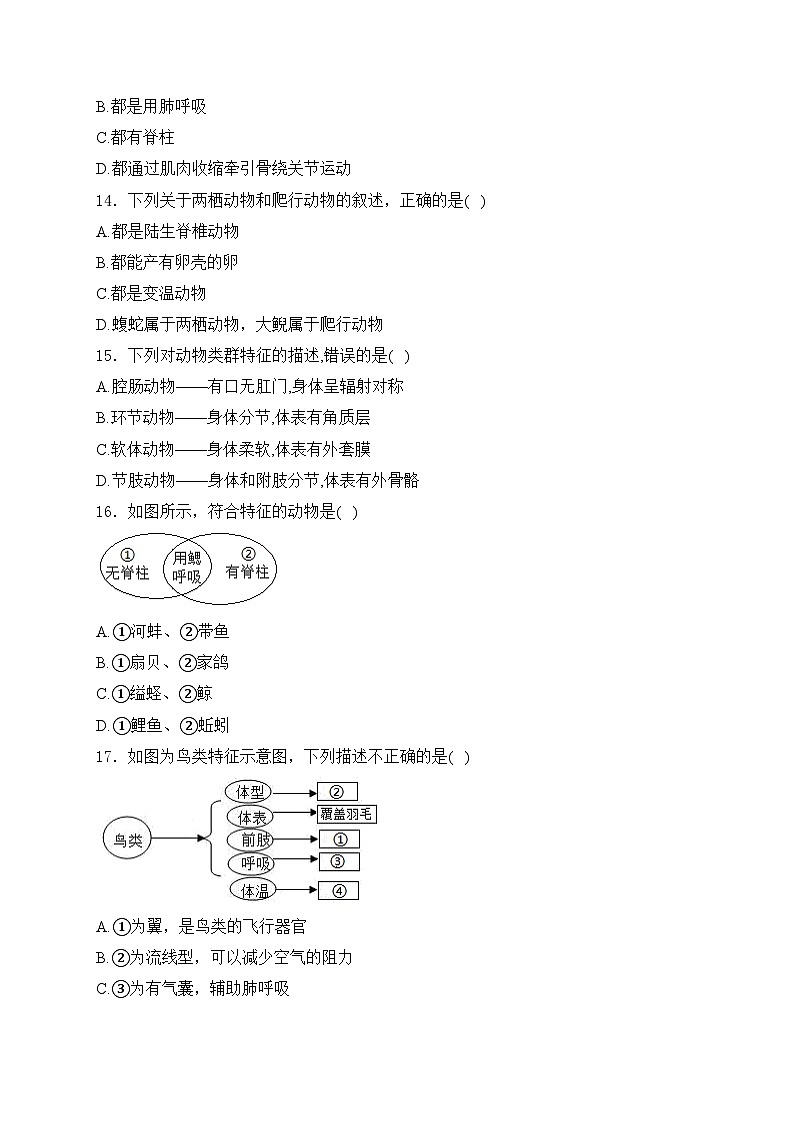 于都县第二中学2023-2024学年八年级上学期第一次阶段测验生物试卷(含答案)第3页