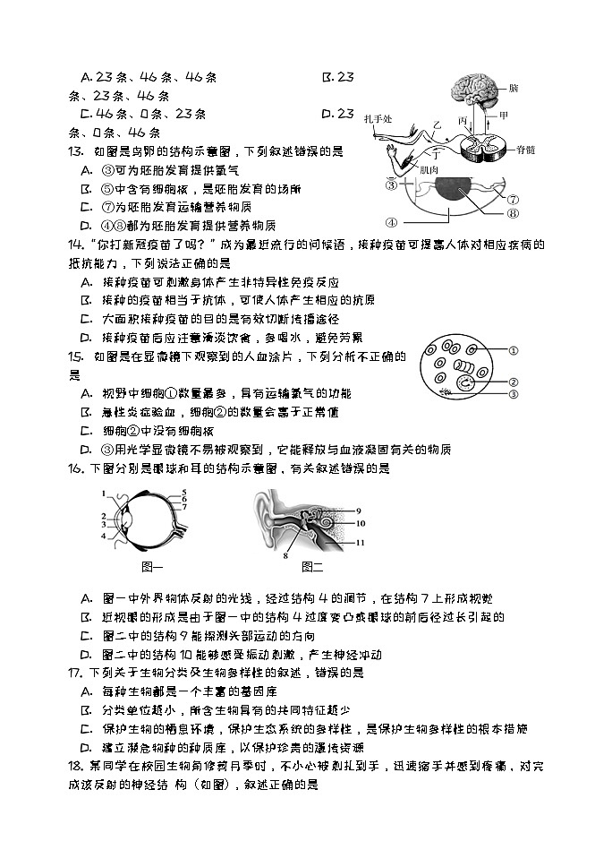 2024年山东省济南市章丘区八年级学业水平考试生物模拟试题（四）03