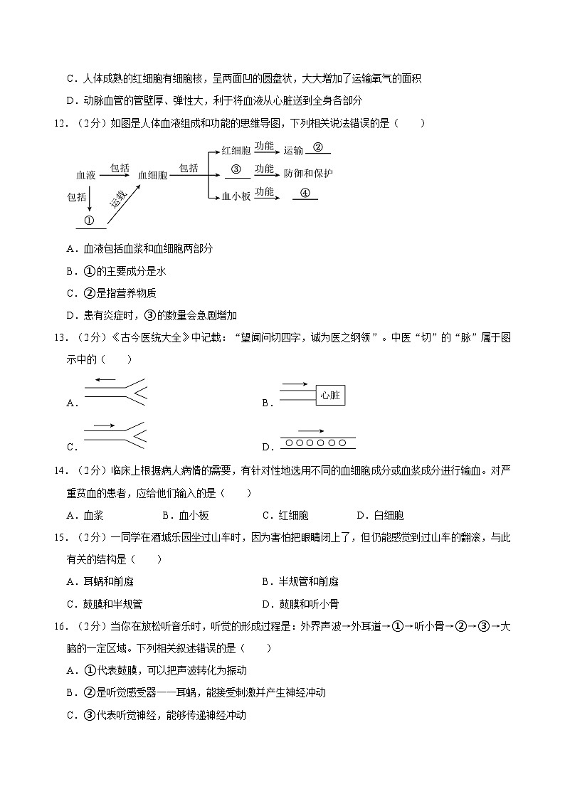 安徽省合肥市肥东县第三中学等校2023-2024学年七年级下学期期末考试生物试卷第3页