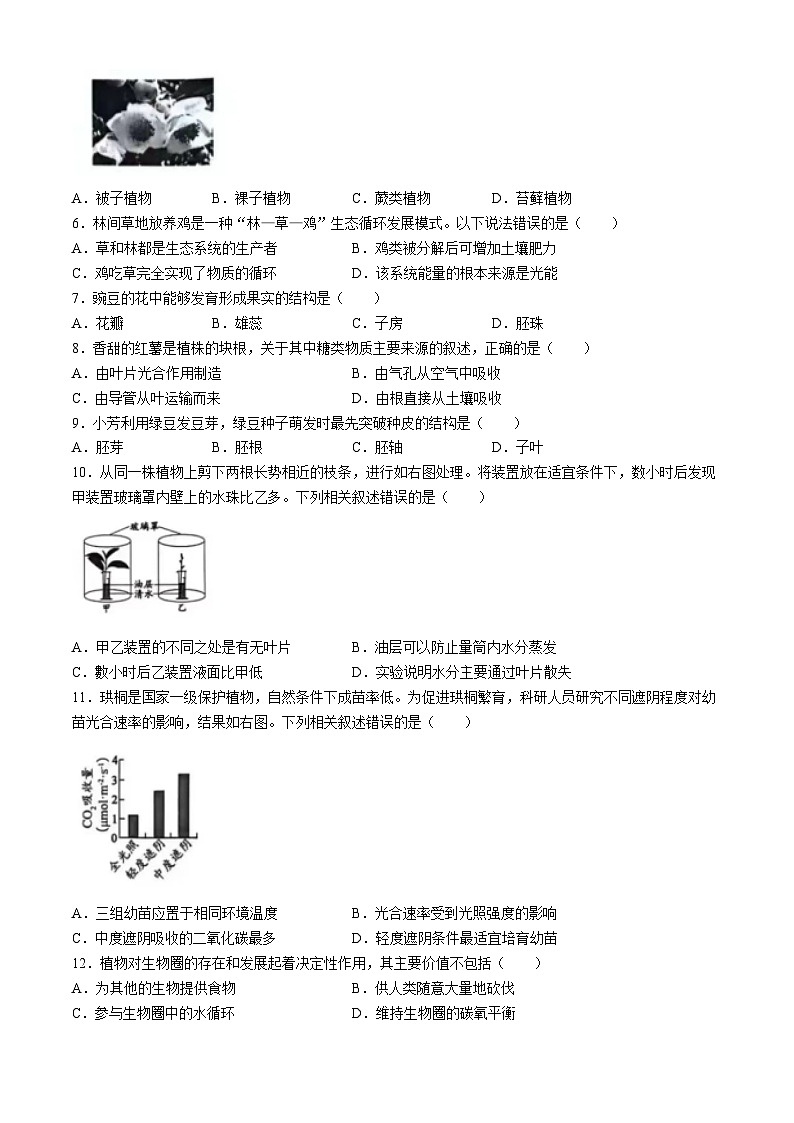 2024年北京市昌平区学业水平考试生物试题(无答案)02