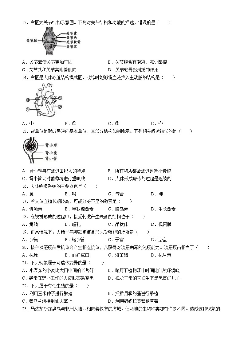 2024年北京市昌平区学业水平考试生物试题(无答案)03