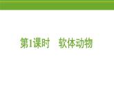八年级人教版生物学课件2软体动物和节肢动物